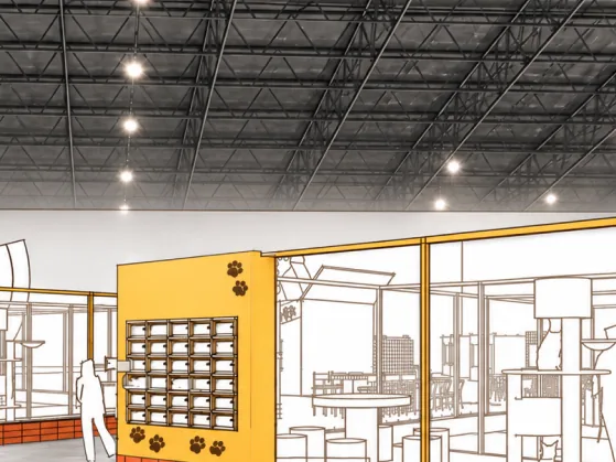 Render of glass-walled cat enclosures in an exhibition hall